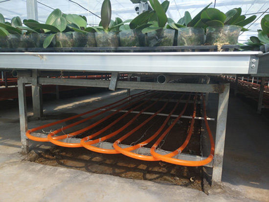 农业种植、养殖地源热泵供暖系统